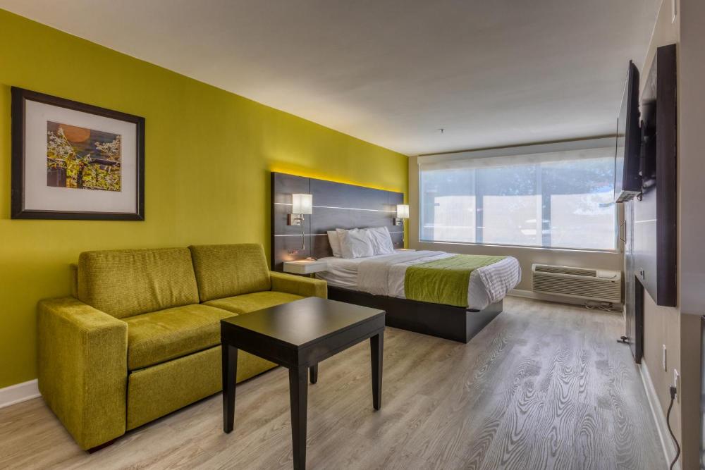 Deluxe King Suite interior
